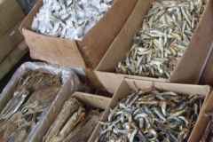 Kistenweise getrocknete Fische auf dem Großmarkt