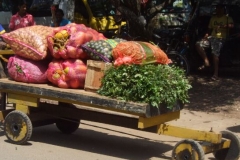 Schubwagen als häufiges Transportmittel